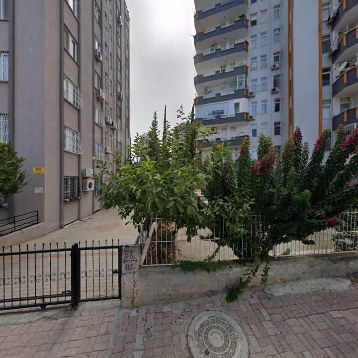 Fotoğraf 7