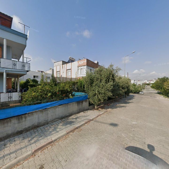 Fotoğraf 3