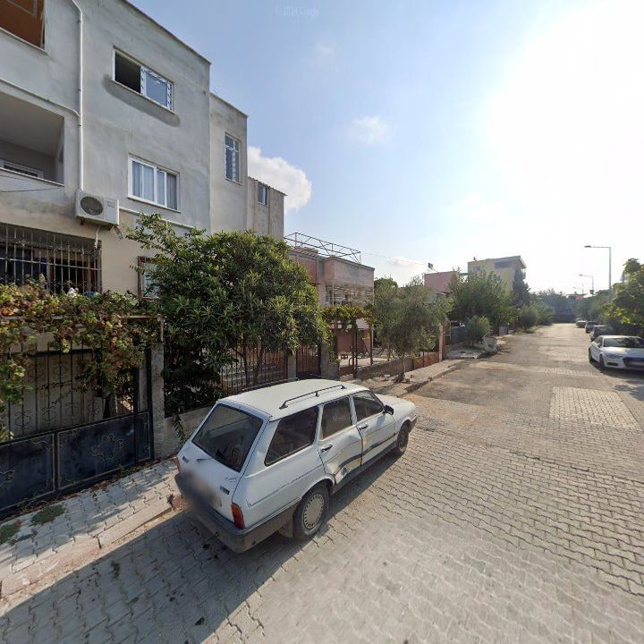 Chef Tavuk Dünyası