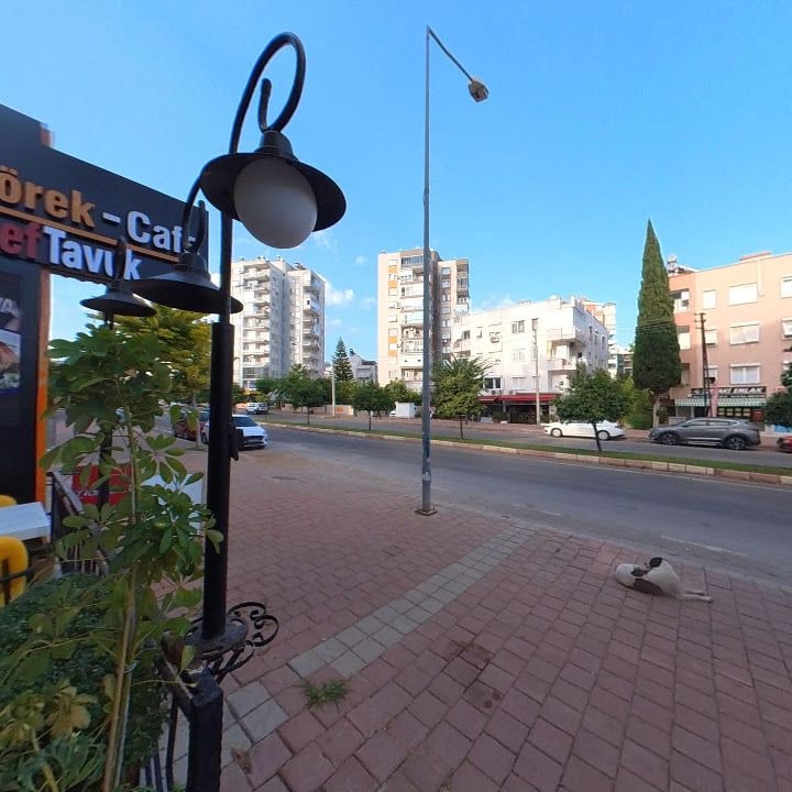 Fotoğraf 3