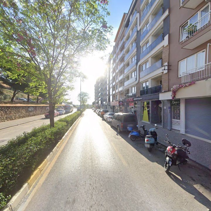 Fotoğraf 9