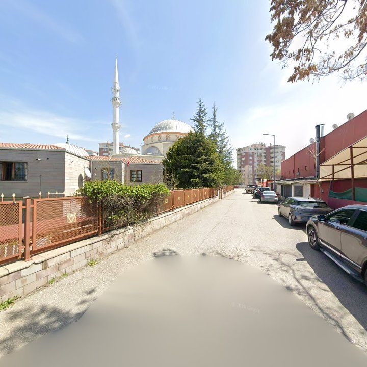 Fotoğraf 9