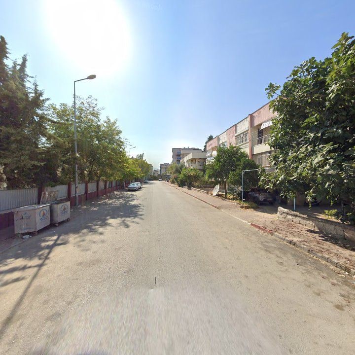 Fotoğraf 11