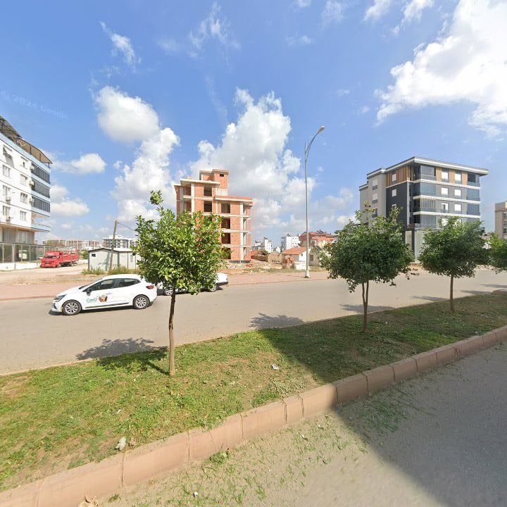Fotoğraf 8