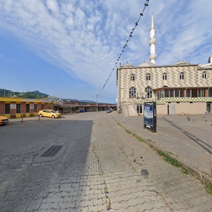 Fotoğraf 13