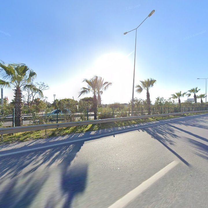 Fotoğraf 19