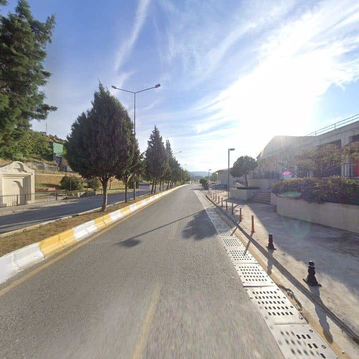 Fotoğraf 11
