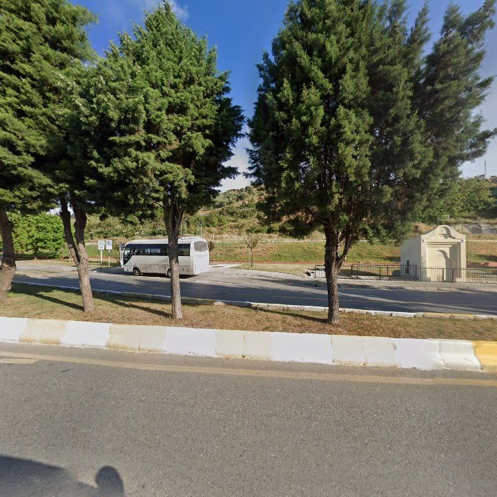 Fotoğraf 10