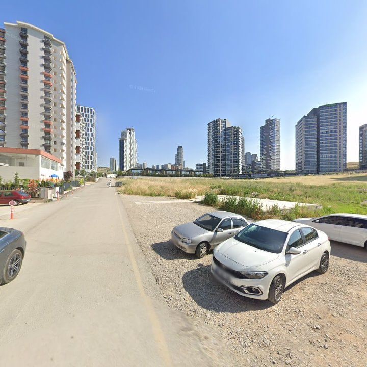 Fotoğraf 10