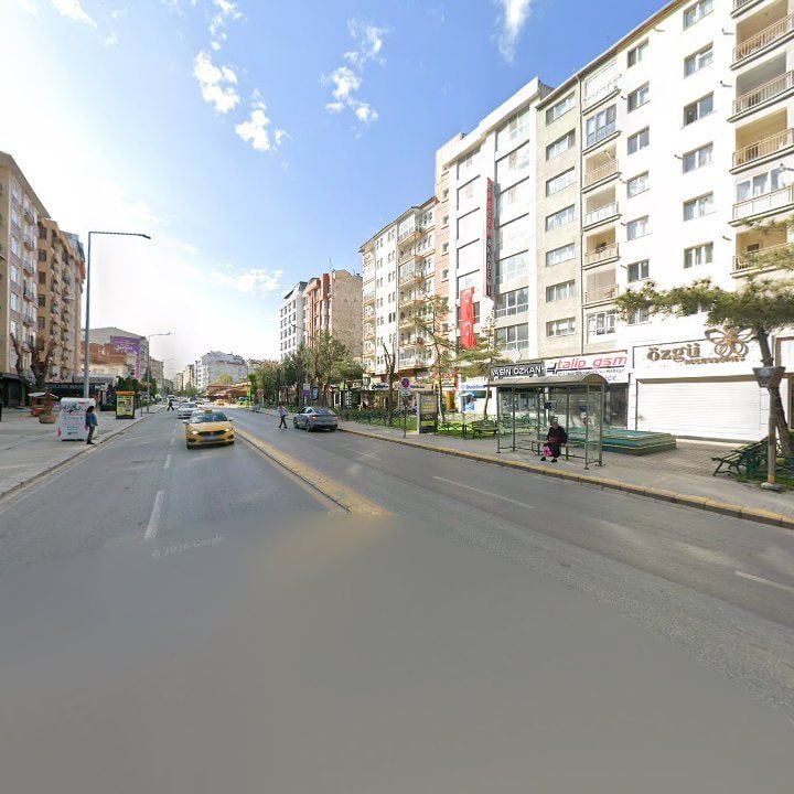 Fotoğraf 12
