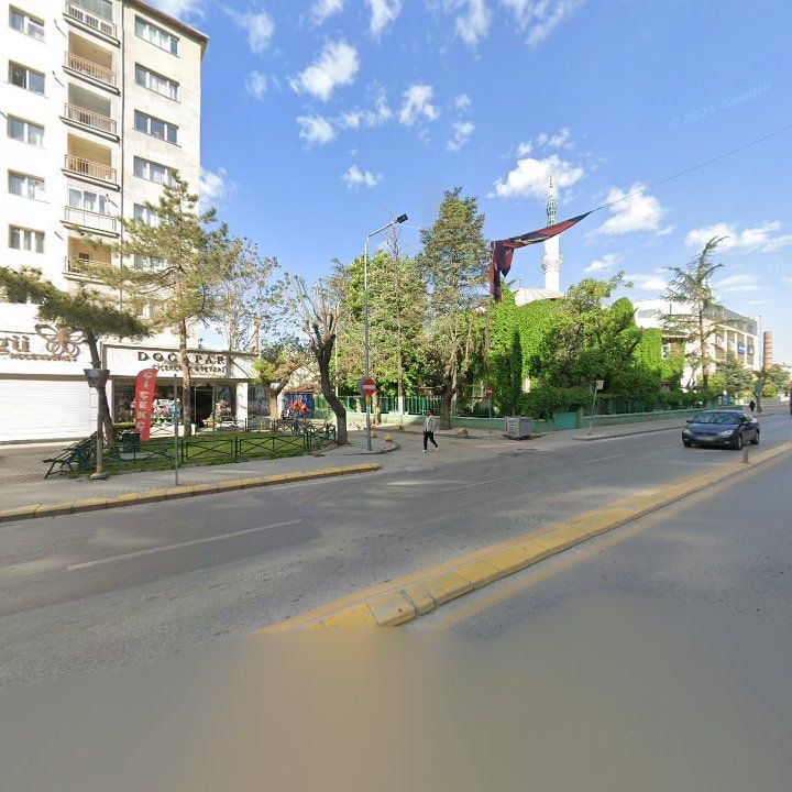 Fotoğraf 13