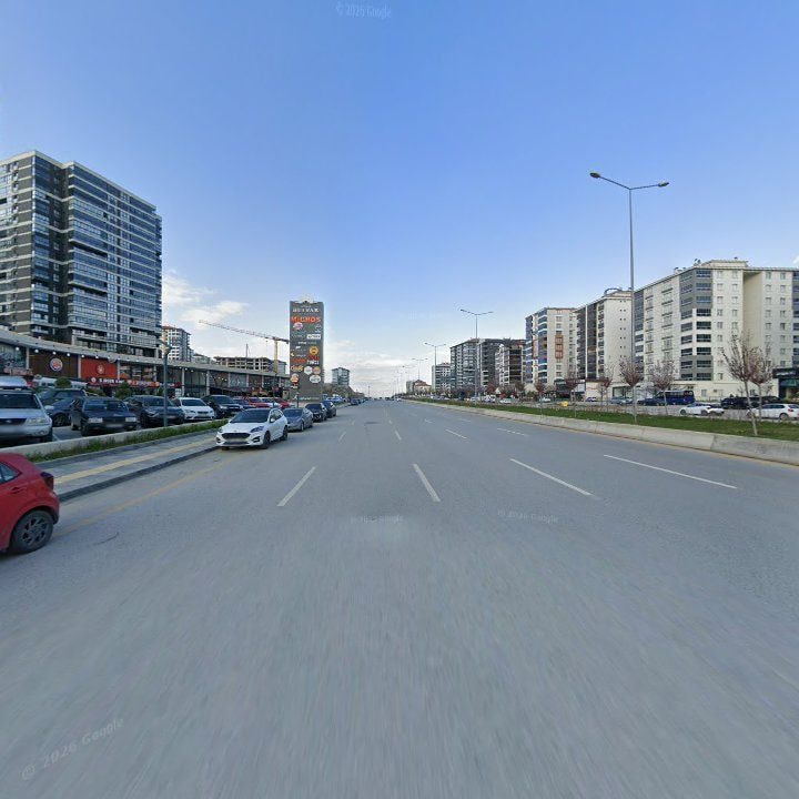 Fotoğraf 11