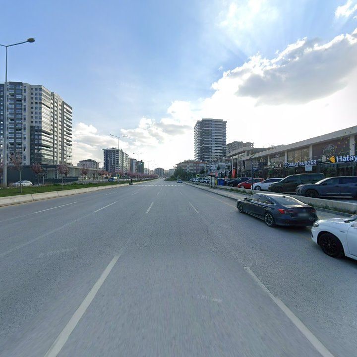 Fotoğraf 13