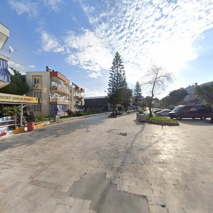 Fotoğraf 11