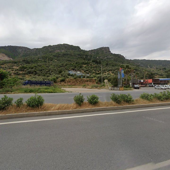 Fotoğraf 12