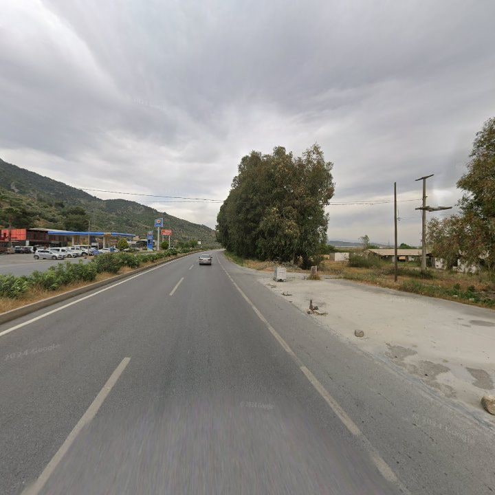 Fotoğraf 13