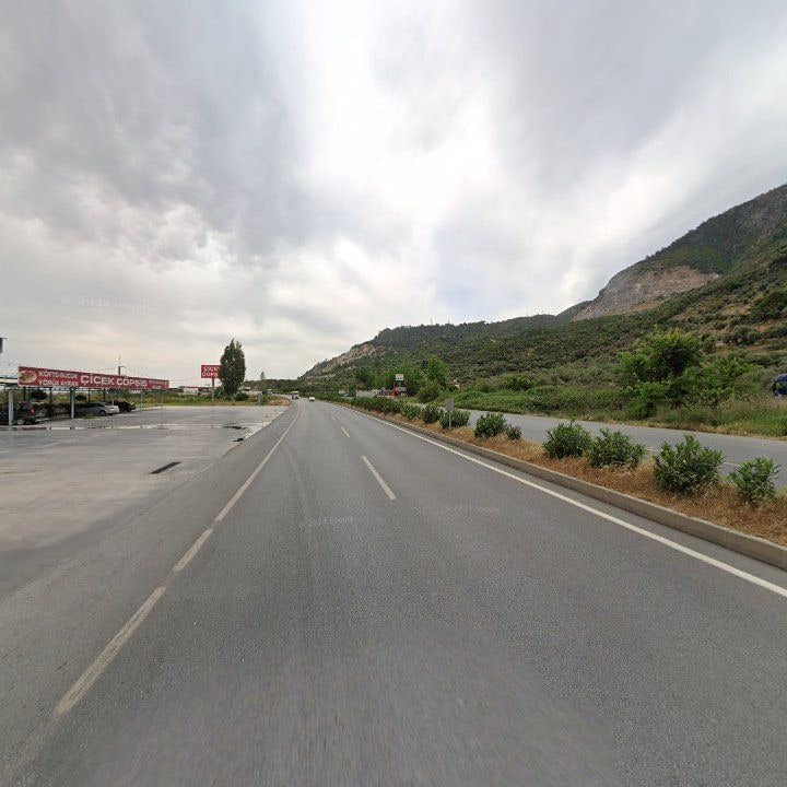 Fotoğraf 11