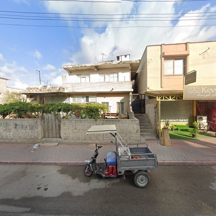 Fotoğraf 3