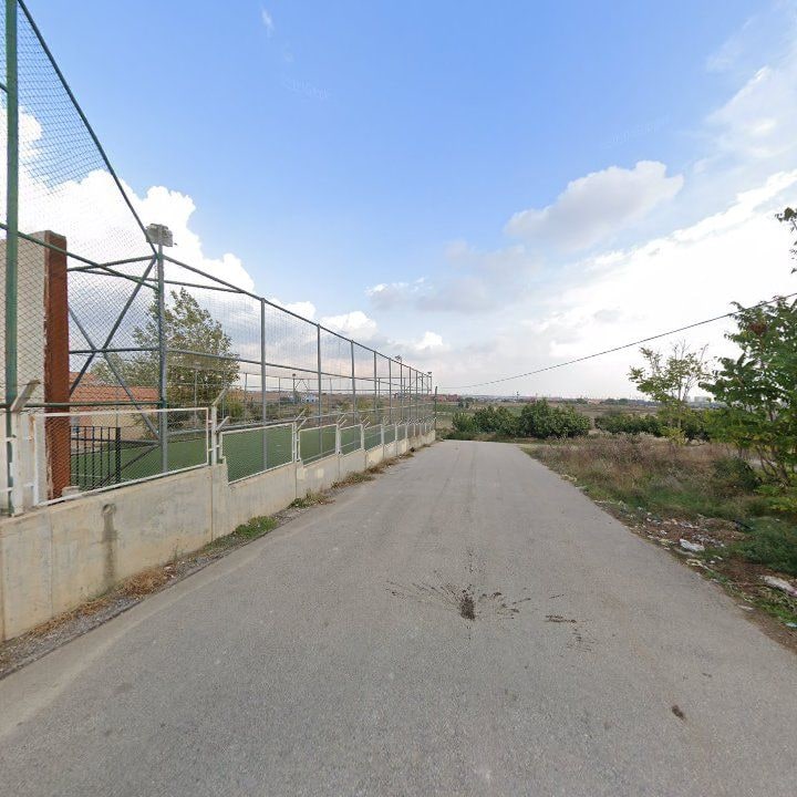 Fotoğraf 7