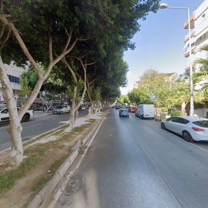 Fotoğraf 11