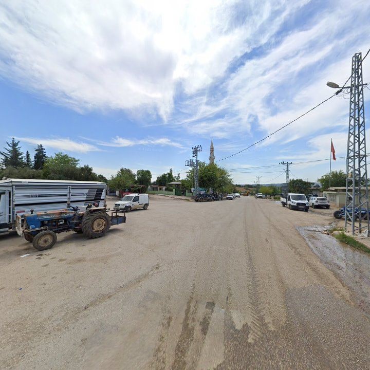 Fotoğraf 8