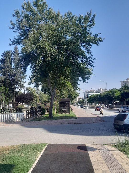 Fotoğraf 3