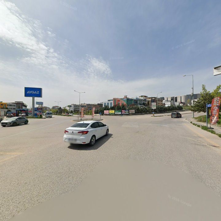 Fotoğraf 11