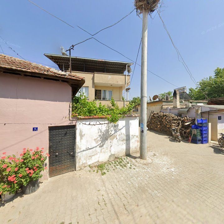 Fotoğraf 13