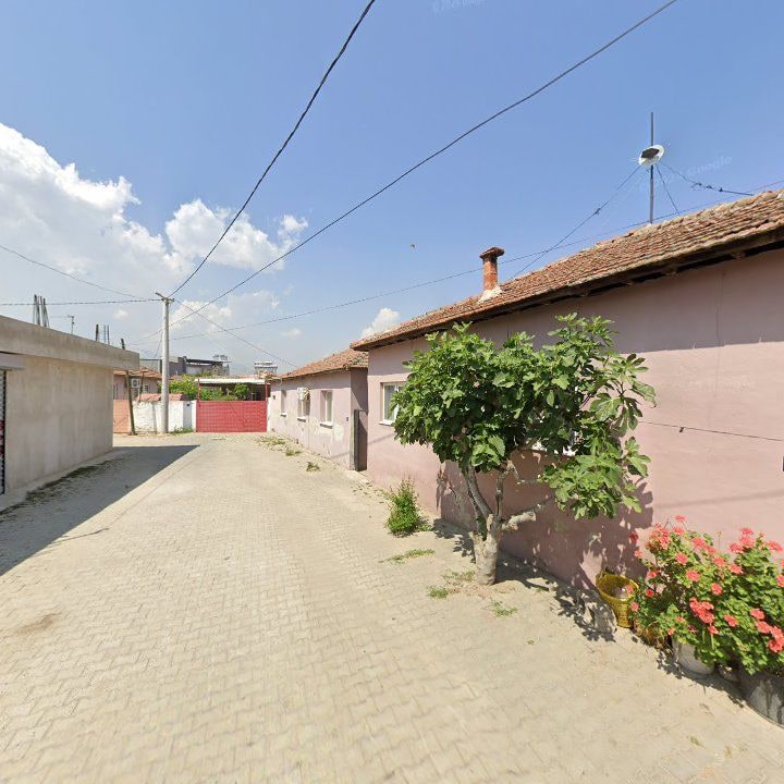 Fotoğraf 12