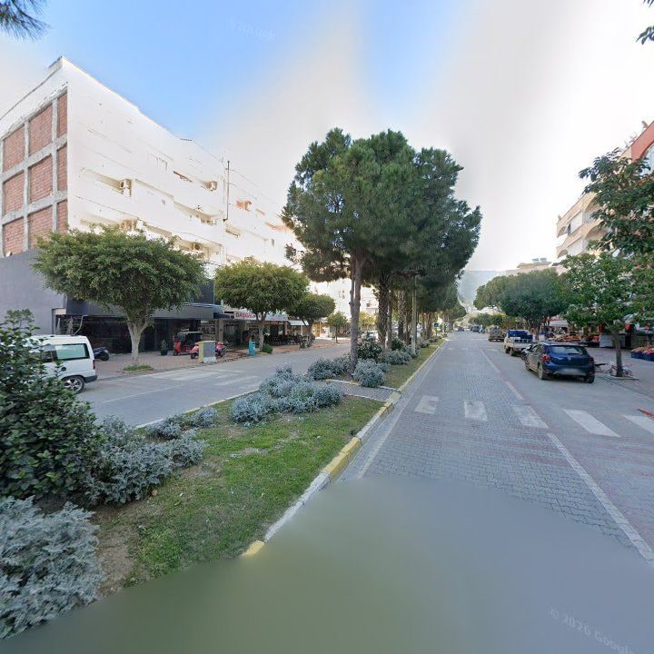 Fotoğraf 7