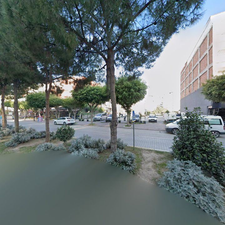 Fotoğraf 6