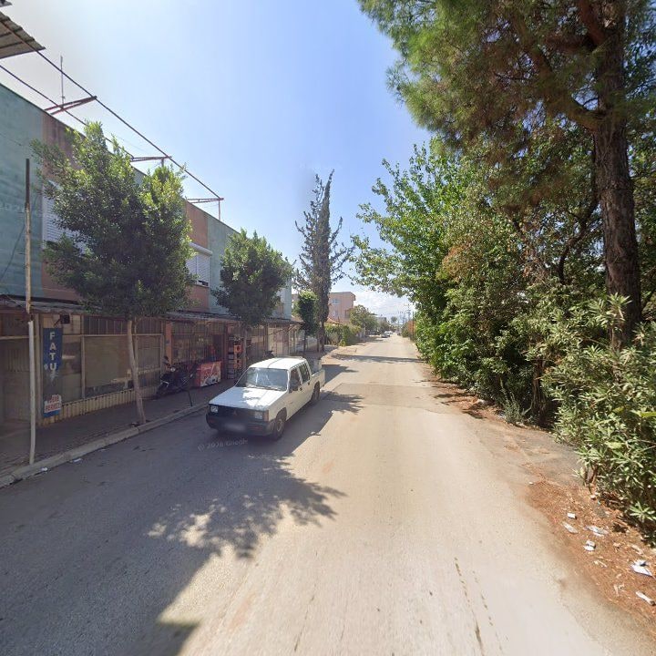 Fotoğraf 6