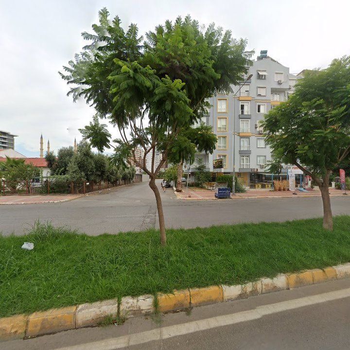 Fotoğraf 7