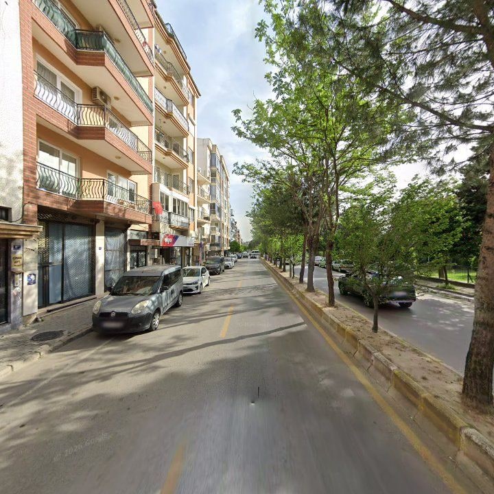 Fotoğraf 6