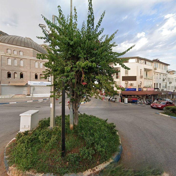 Fotoğraf 8
