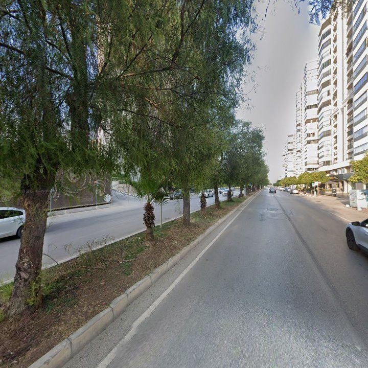 Fotoğraf 12