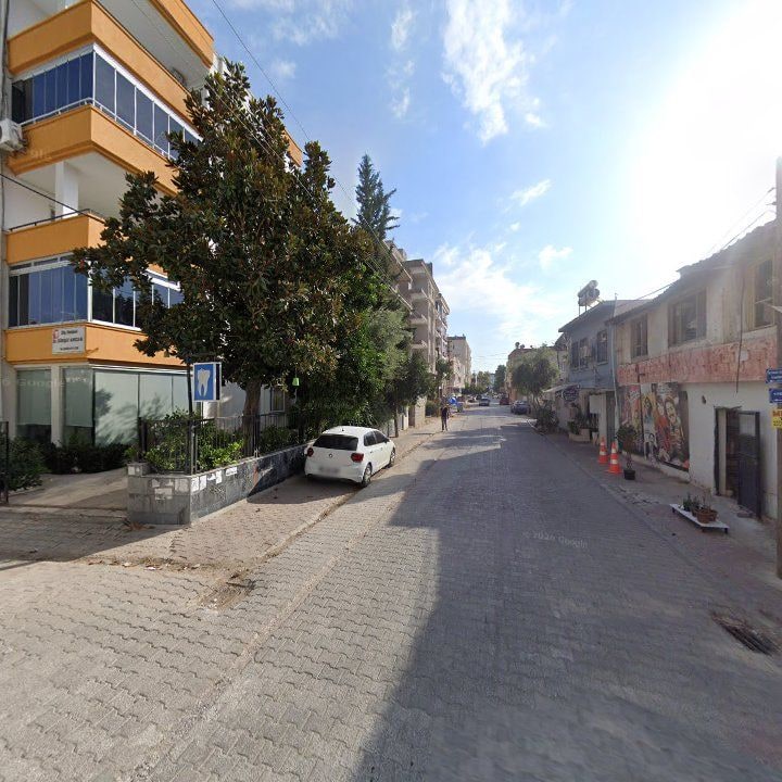 Fotoğraf 8