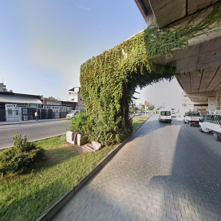 Fotoğraf 10
