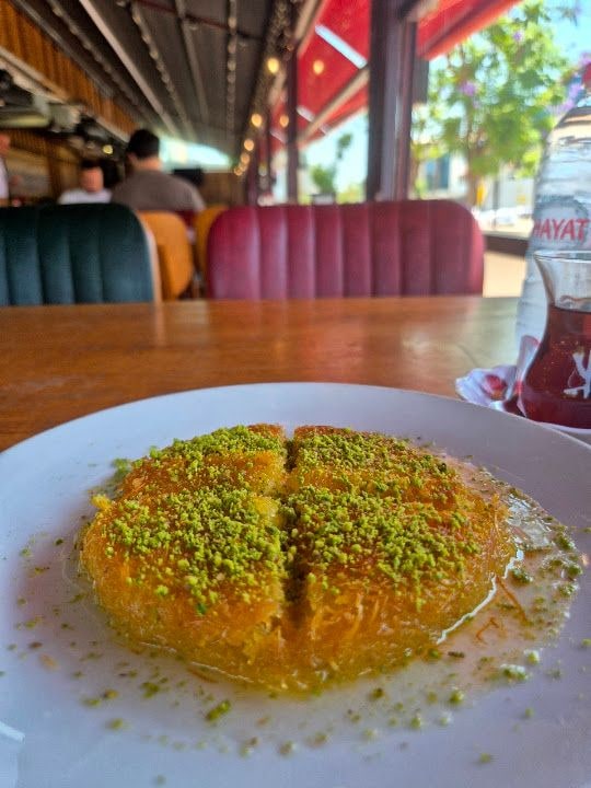 Fotoğraf 9