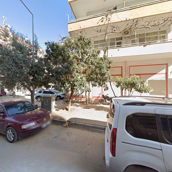 Fotoğraf 9