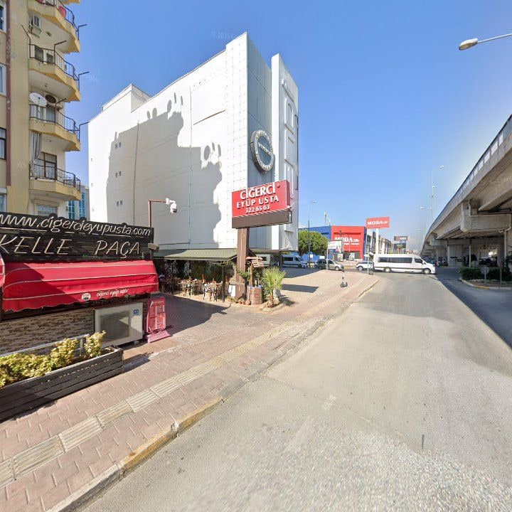 Fotoğraf 11