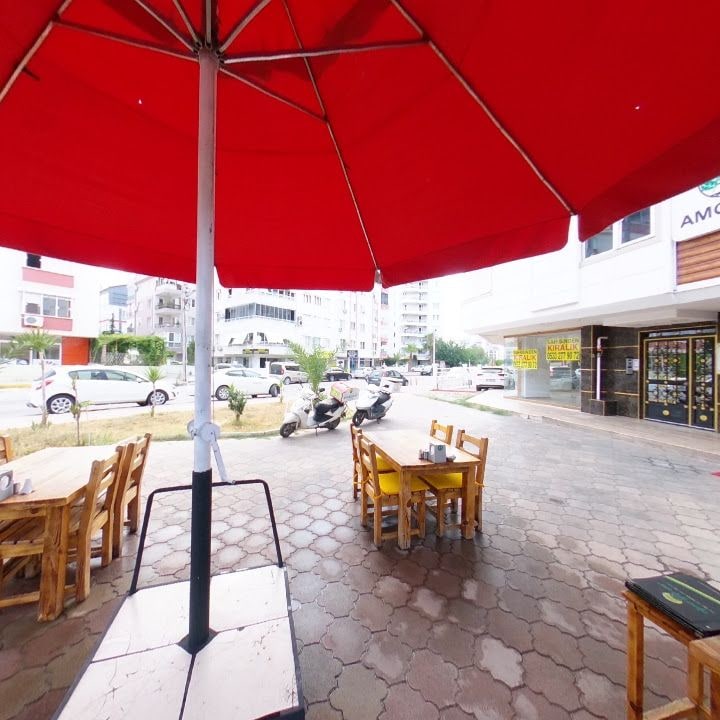 Fotoğraf 11
