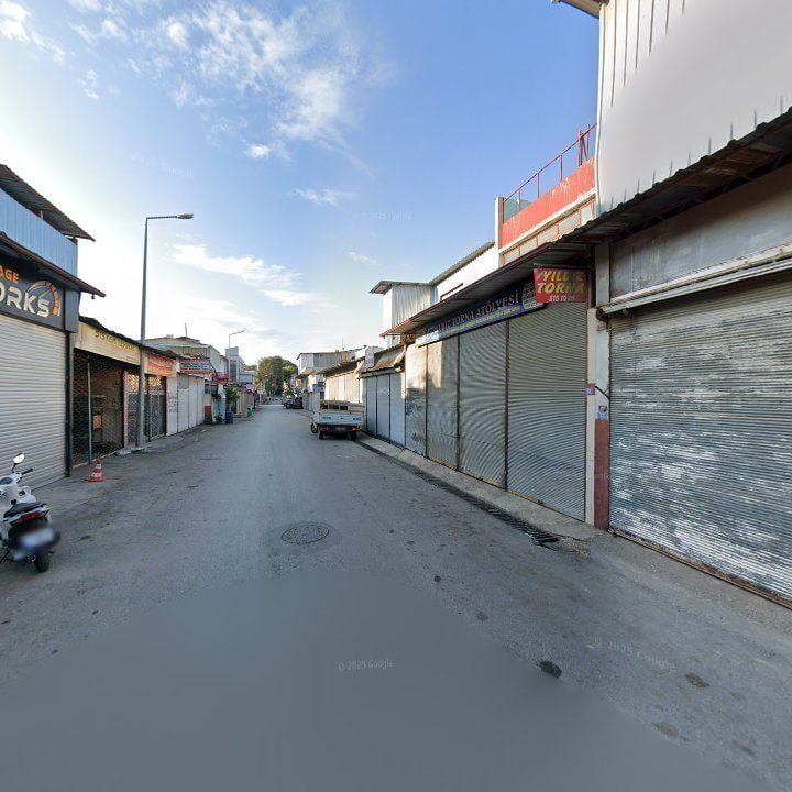 Fotoğraf 8
