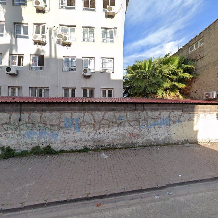 Fotoğraf 7