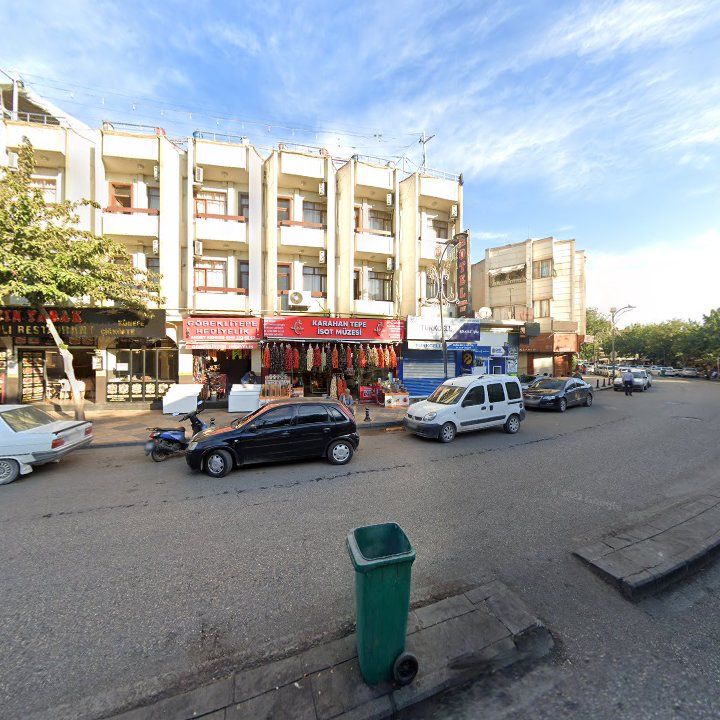 Fotoğraf 11