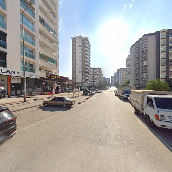 Fotoğraf 7