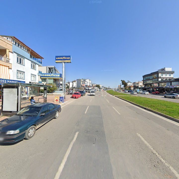 Fotoğraf 9