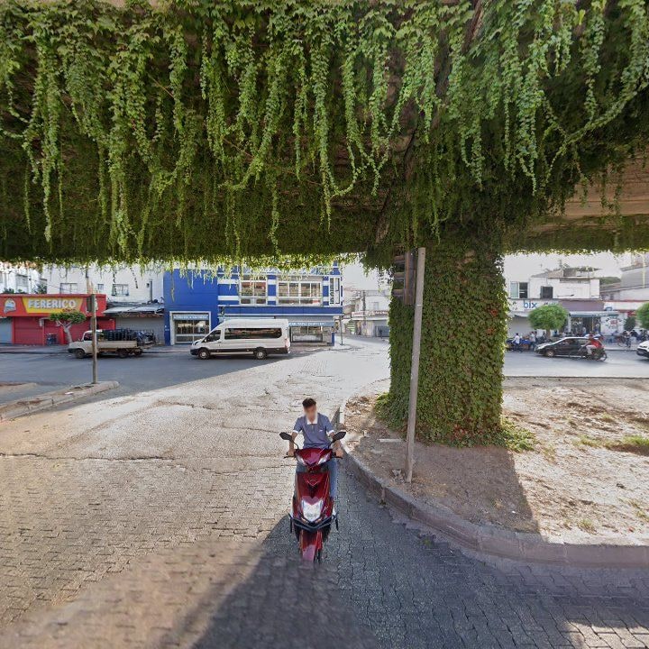 Fotoğraf 4