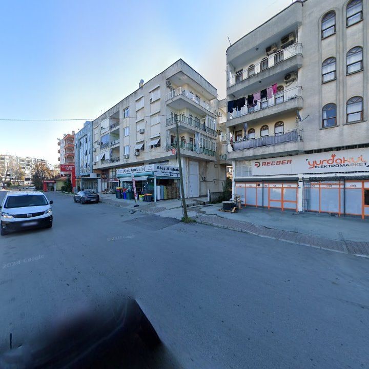 Fotoğraf 7