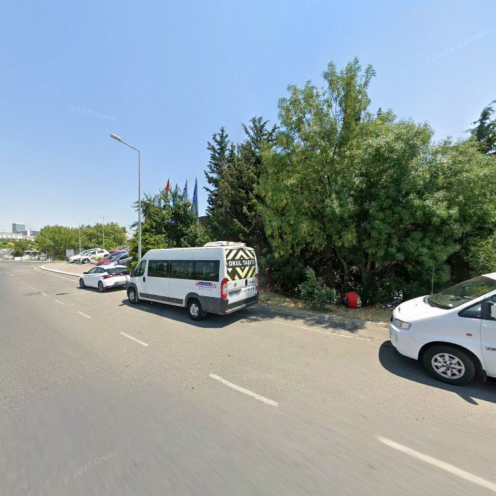 Fotoğraf 12